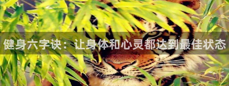 意昂4官方网站
