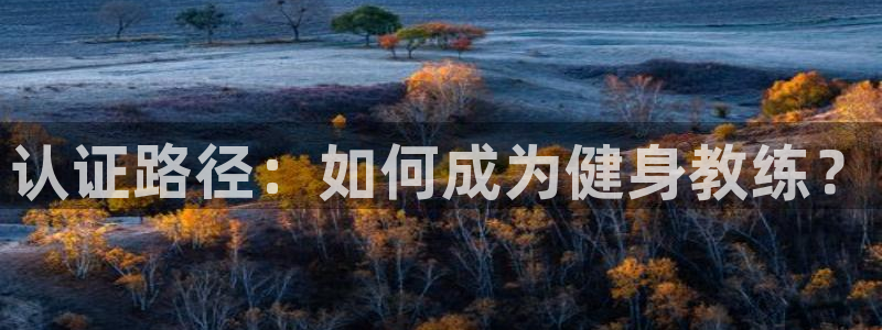 意昂4代理