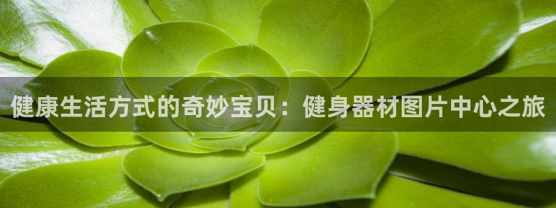 意昂4官方平台